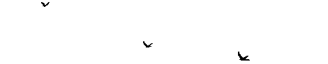 fy.gif